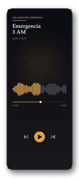 Audios y Guiones